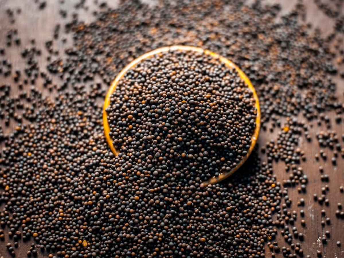 महिलाओं को मुफ्त में सरसों के बीज दे रही सरकार, ऑर्गेनिक खाद पाने का भी मौका