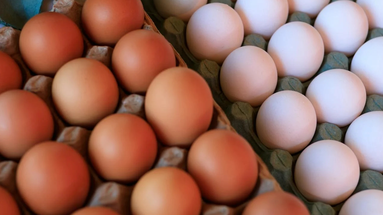 अमेरिकी टैरिफ से अंडा कारोबार प्रभावित, तमिलनाडु के व्यापारियों को होगा नुकसान.. ये है वजह