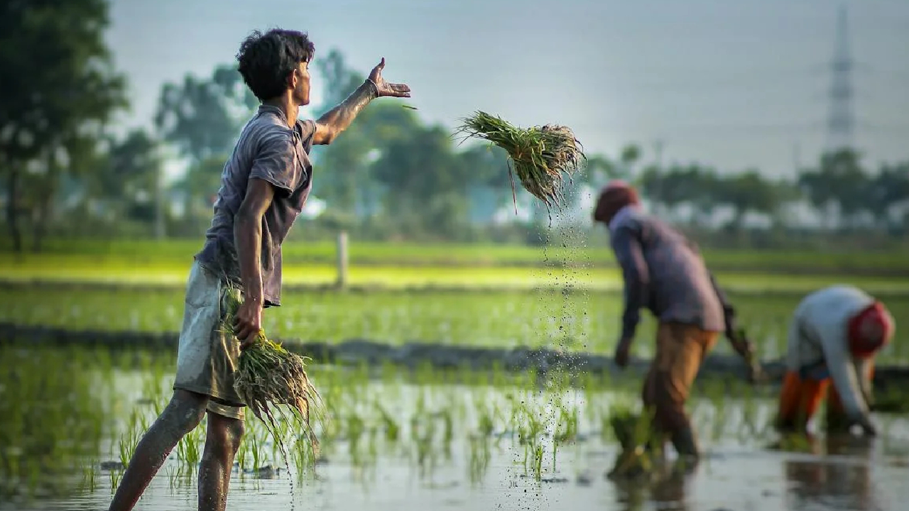 अब फोन पर मिलेगी मिट्टी की पूरी जानकारी, SMS और व्हाट्सएप से पाएं सॉइल हेल्थ कार्ड