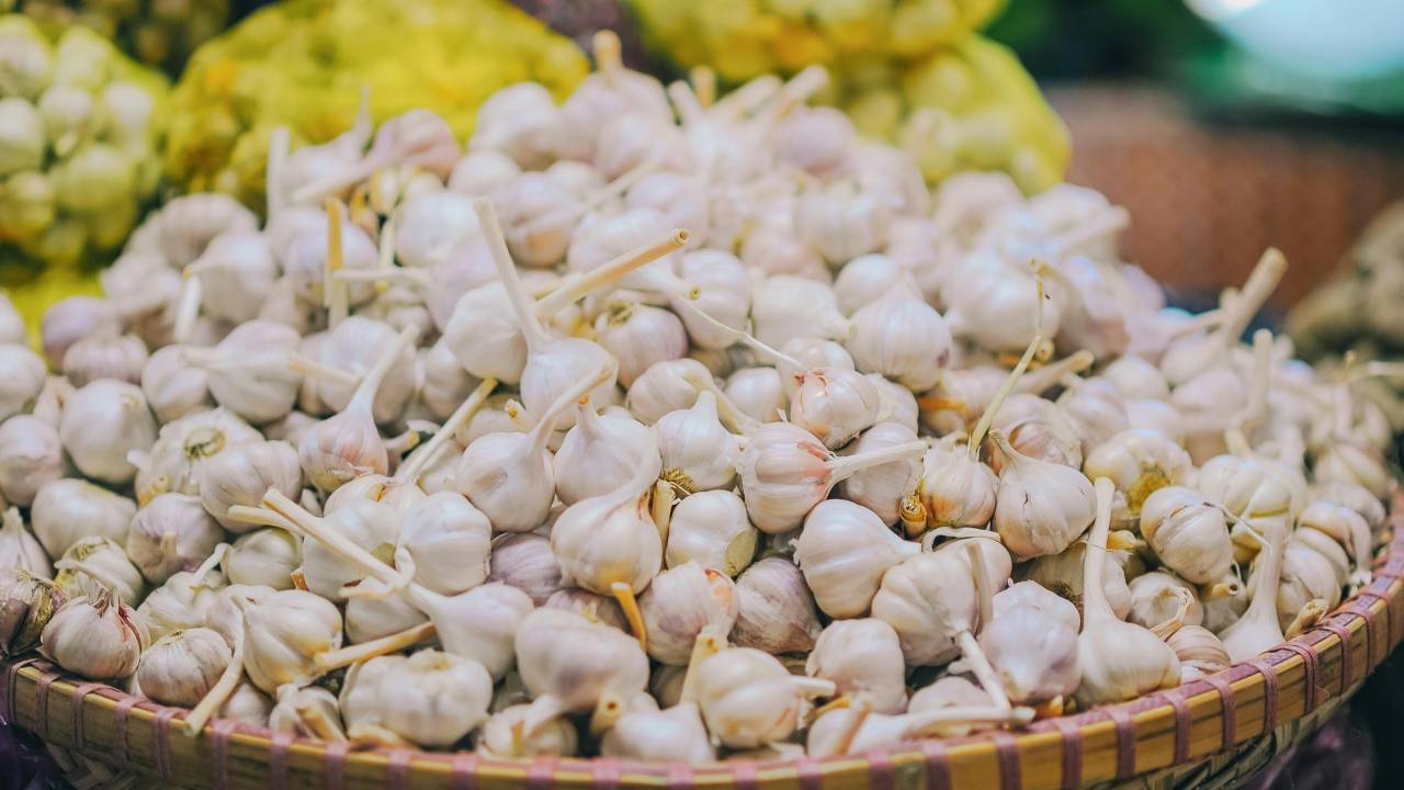 यूपी में किसानों को सब्सिडी पर मिल रहे हैं लहसुन के बीज, जानें कैसे उठाएं फायदा
