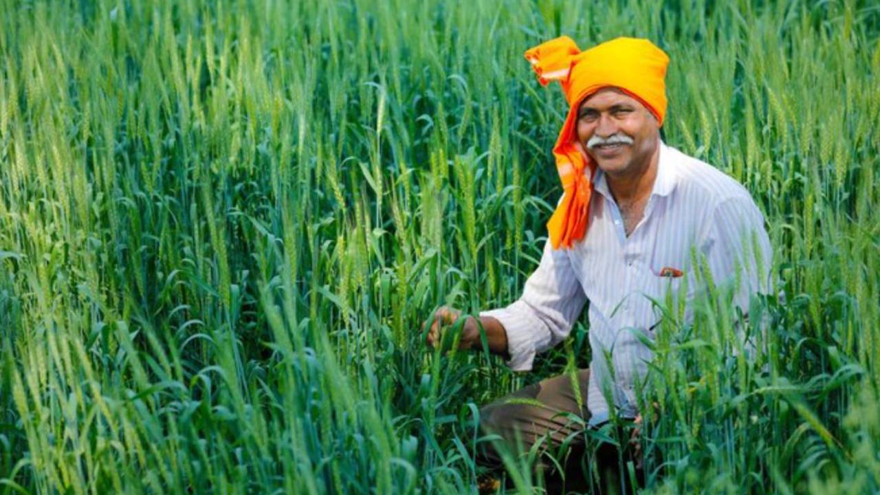 खरीफ रिपोर्ट: धान और मोटे अनाज की बुवाई में तेजी, इस साल कुल रकबा 2 फीसदी बढ़ा
