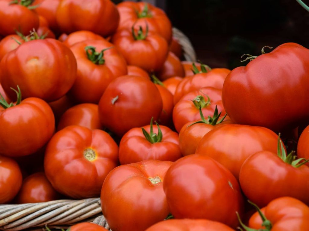 tomato price hike