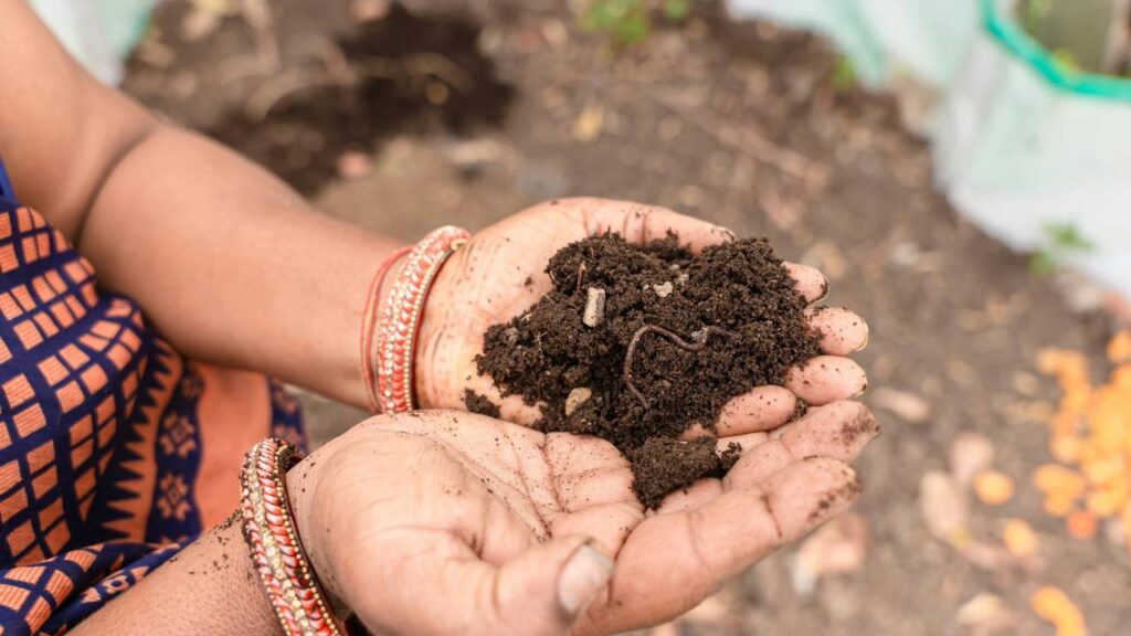 वर्मीकम्पोस्ट, गोबर की खाद की तुलना में एक ठंडी खाद के तौर पर मानी जाती है. आप गर्मी के मौसम में इसका प्रयोग कर सकते हैं.  आप आसानी से कटे हुए पेपर, कार्डबोर्ड, केंचुए और फलों, सब्जियों के कचरे से वर्मीकंपोस्‍ट खाद बना सकते हैं. 