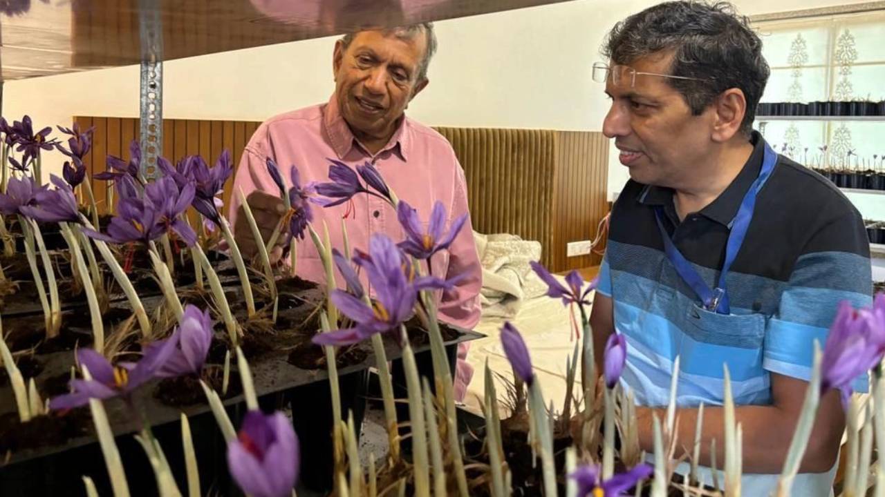 पेड़ लगाने के जुनून को कहा ‘पागलपन’, लेकिन बना दिया घना जंगल!