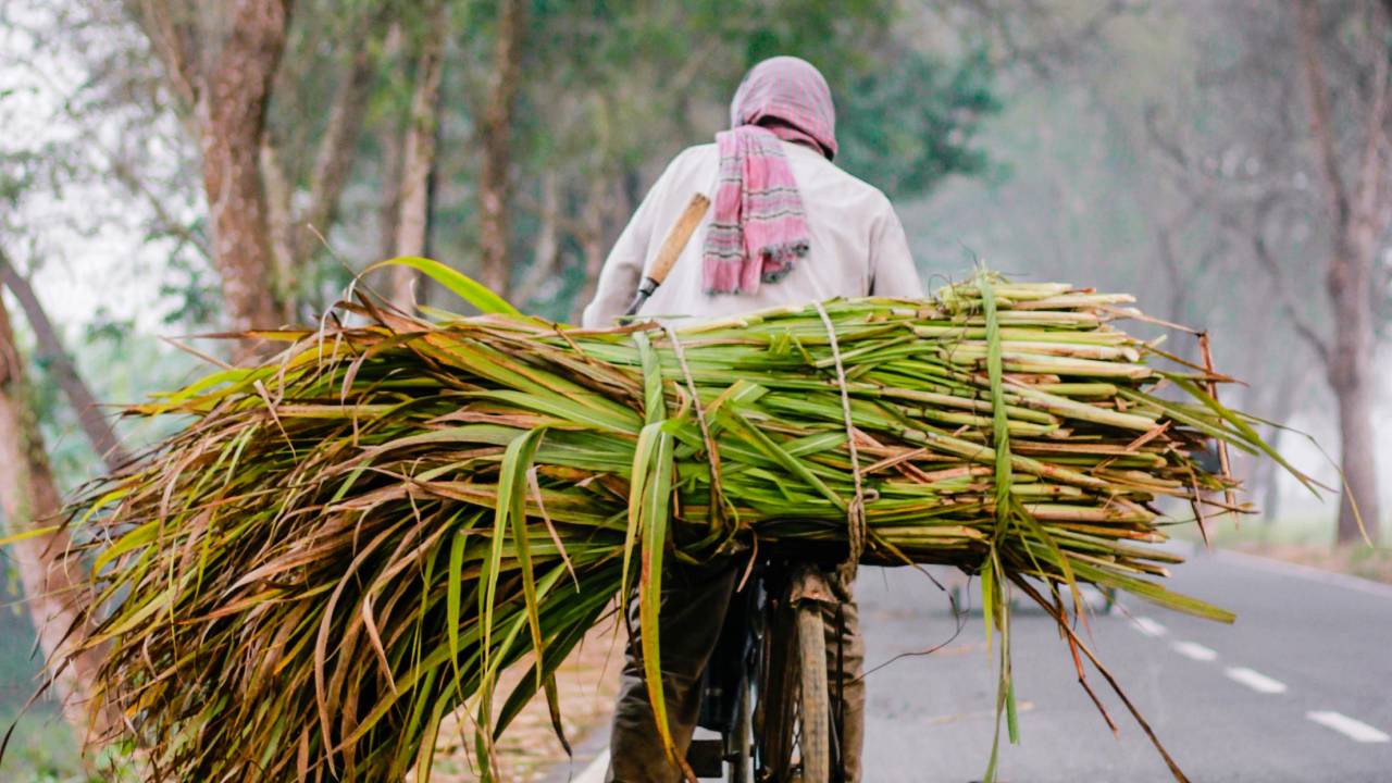 36 लाख किसानों के पास अब भूमि रिकॉर्ड से जुड़ी डिजिटल आईडी, यूपी के किसान आगे