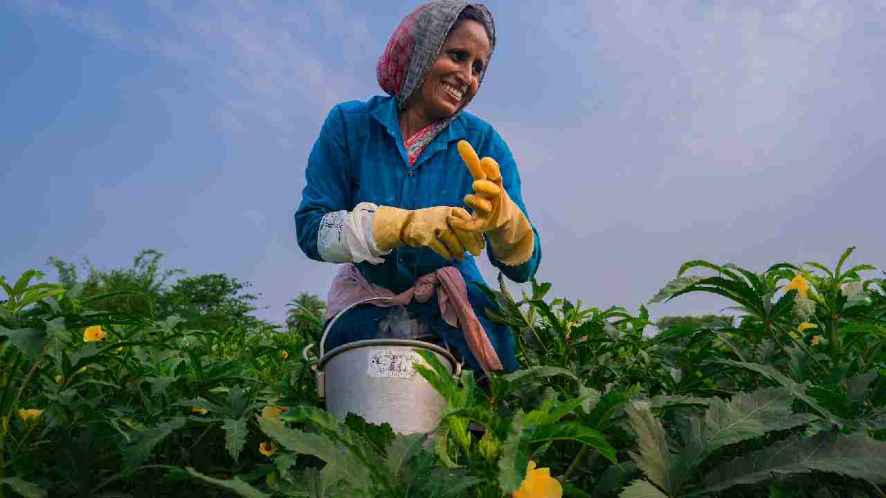 स्मार्ट खेती के लिए अपनाएं ये छोटी मशीनें, काम होगा आसान