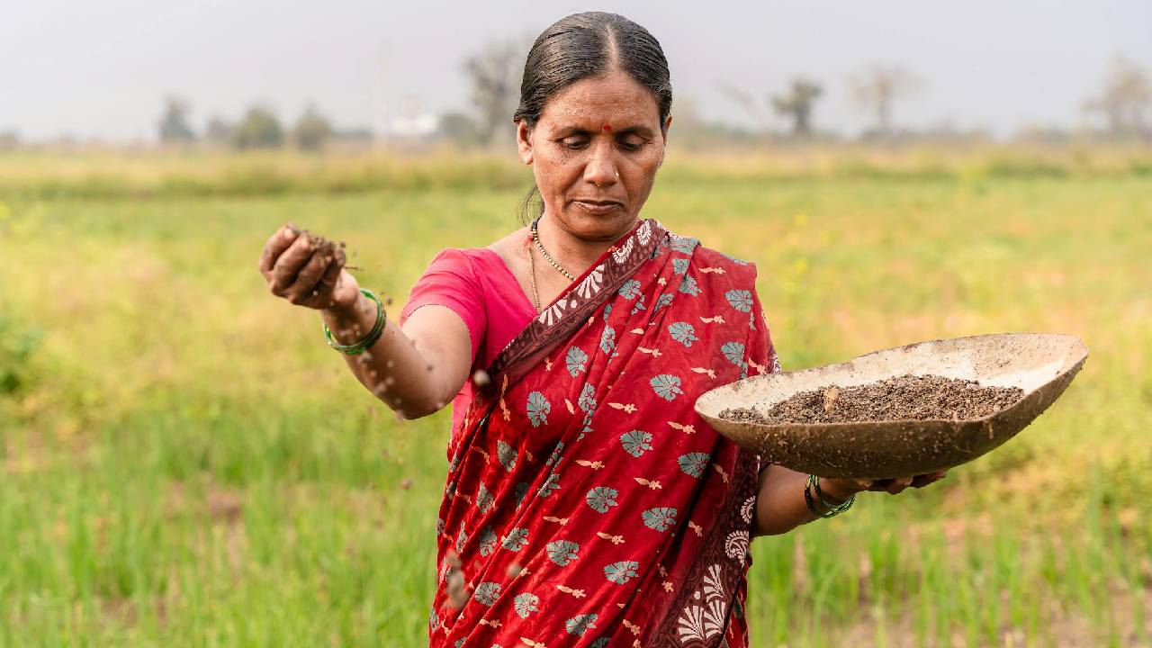 जैविक खेती को बढ़ावा, किसानों को मिली मुफ्त ट्रेनिंग और उर्वरक