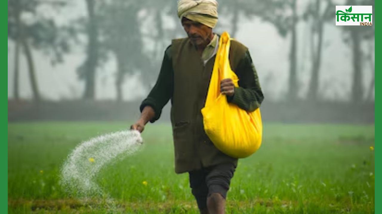 किसानों के लिए खाद सब्सिडी को मंजूरी, जानिए कितने में मिलेगी डीएपी की बोरी
