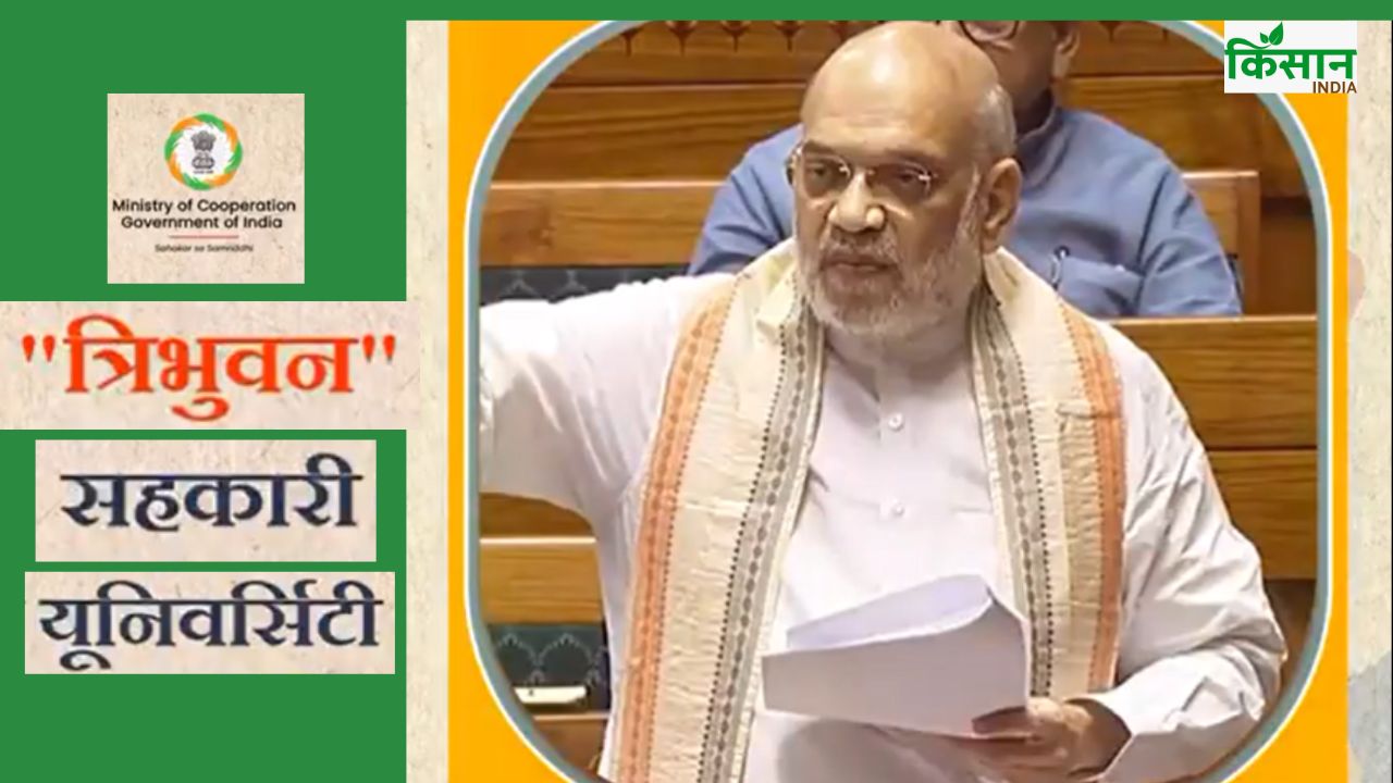 देश की पहली सहकारिता यूनिवर्सिटी में पीएचडी भी होगी, हर साल 8 लाख युवा ट्रेंड होंगे