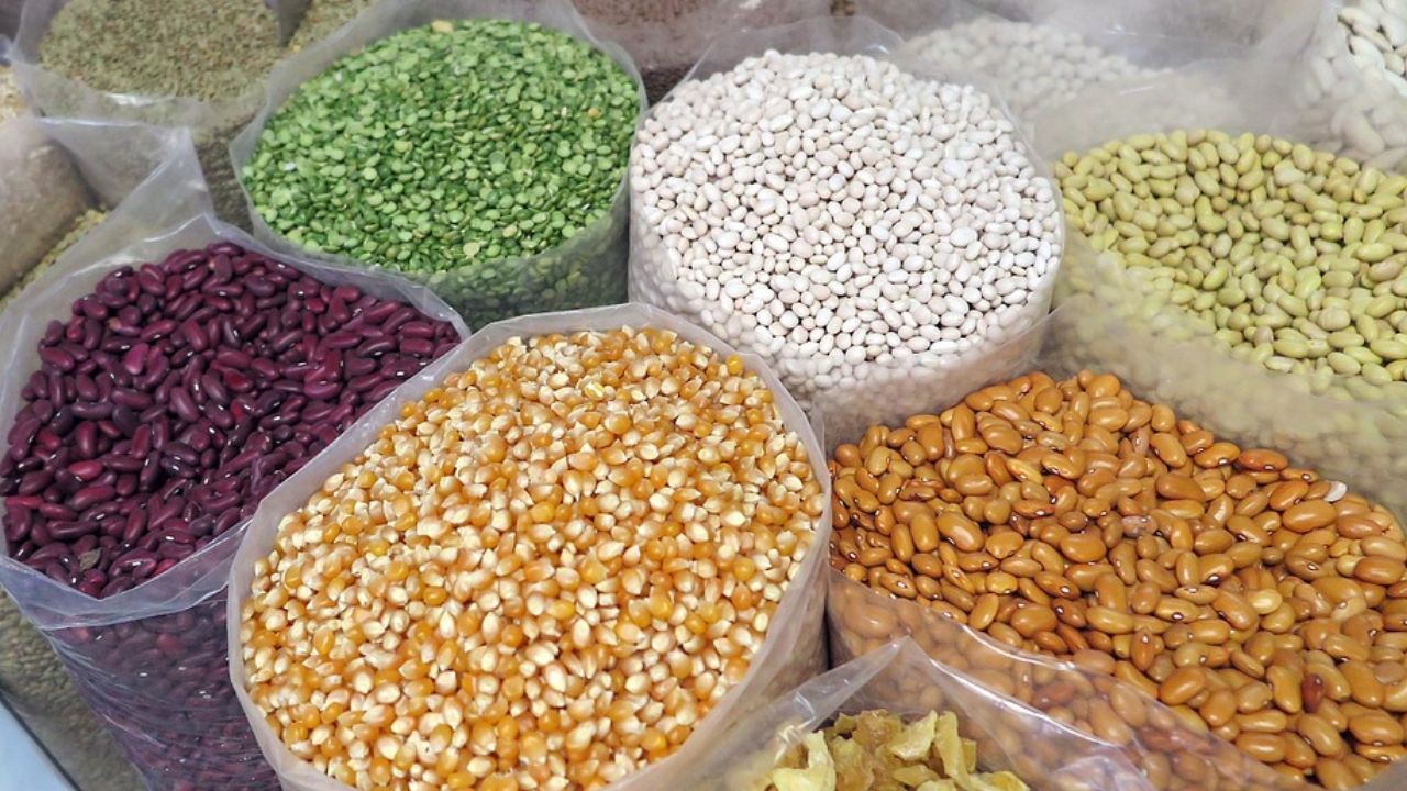 देश में रिकॉर्ड तोड़ हुआ खाद्यान का उत्पादन, जानें चावल, गेहूं, दाल और मक्के की पैदावार