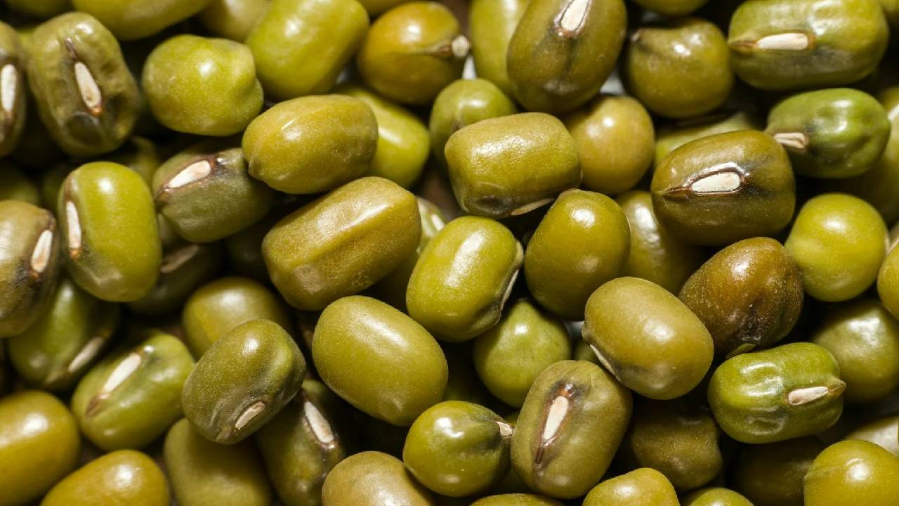 सिर्फ 65 दिनों में ही फसल देने लगती है मूंग की यह किस्‍म, किसान होंगे मालामाल!