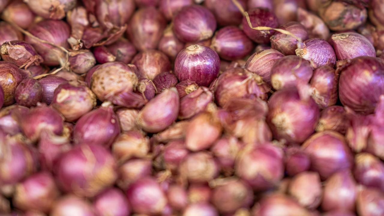 लासलगांव में प्‍याज की गिरती कीमतों से परेशान किसान उतरे विरोध प्रदर्शन पर