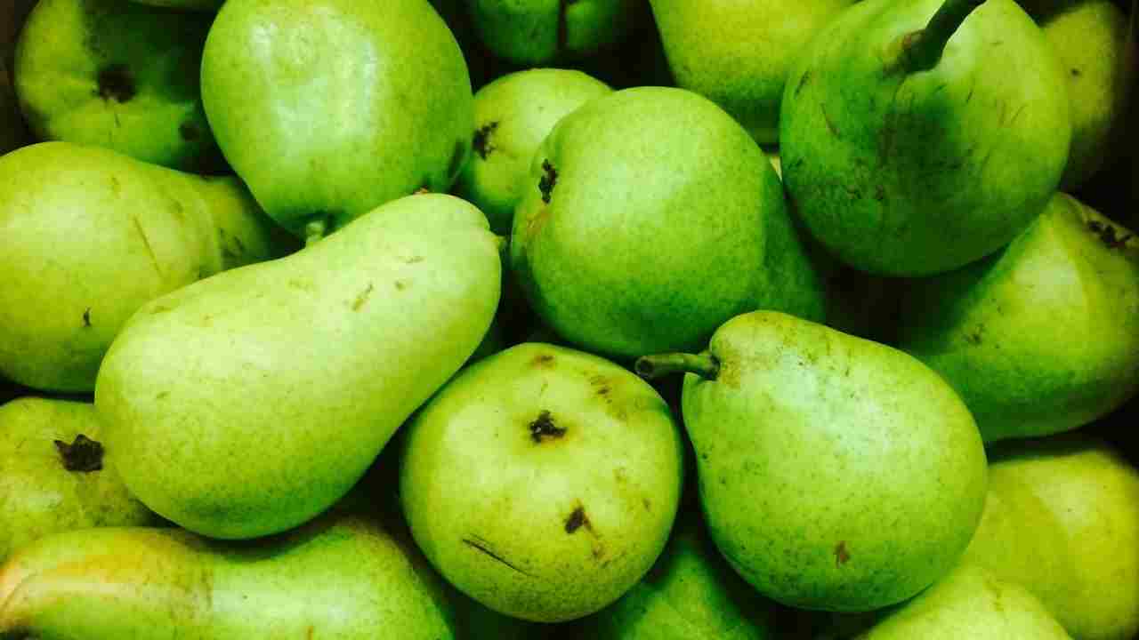 खाली खेत को बनाएं सोने की खान, नाशपाती की खेती से लाखों की कमाई