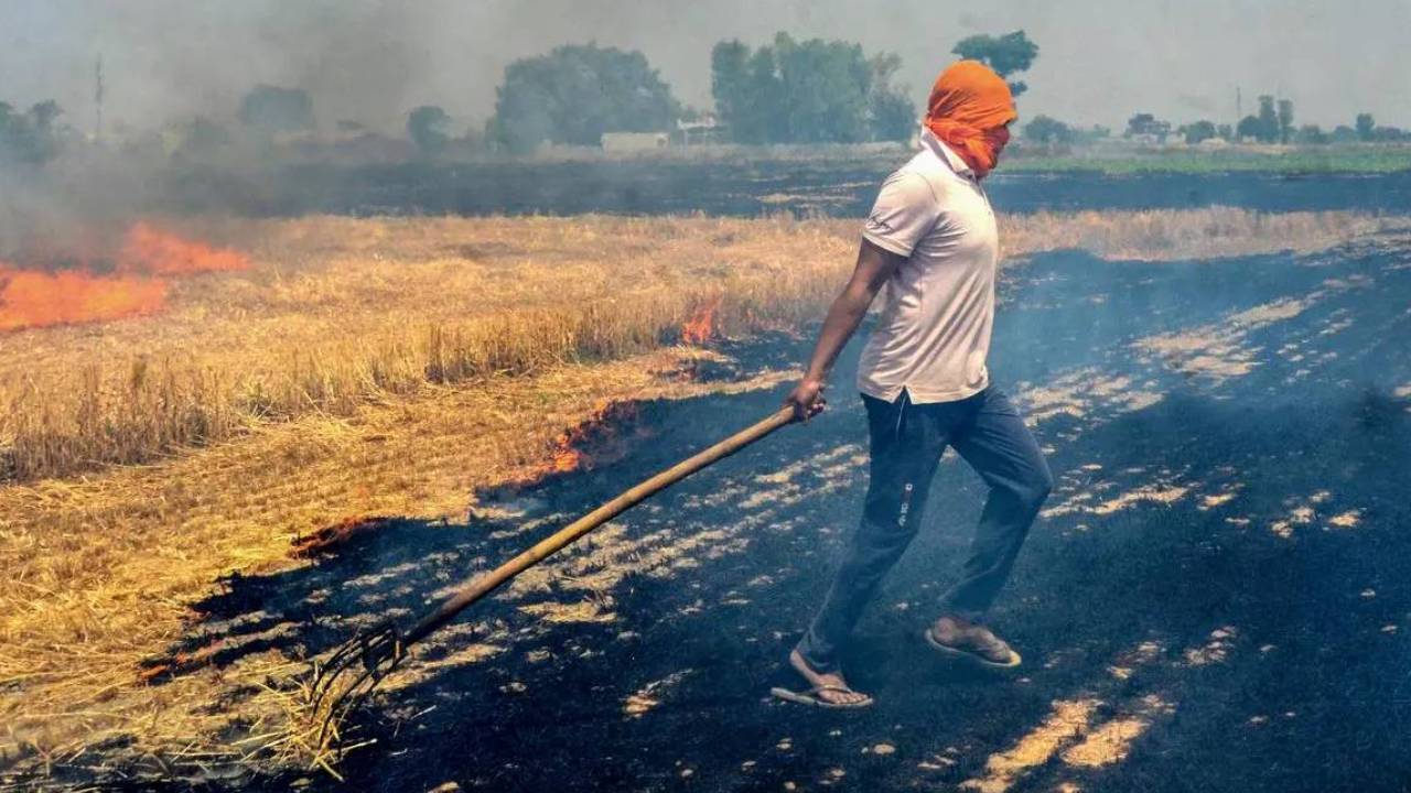 Bihar News: फसल अवशेष जलाने पर किसानों को नहीं मिलेगा गेहूं खरीद का लाभ