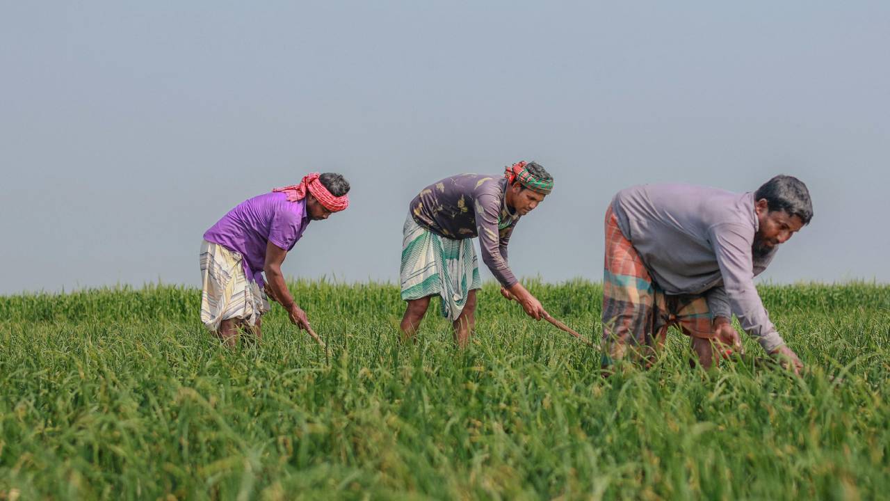 सूखे और बिजली की कम सप्‍लाई से तेलंगाना में बेहाल किसान प्रदर्शन पर उतरे