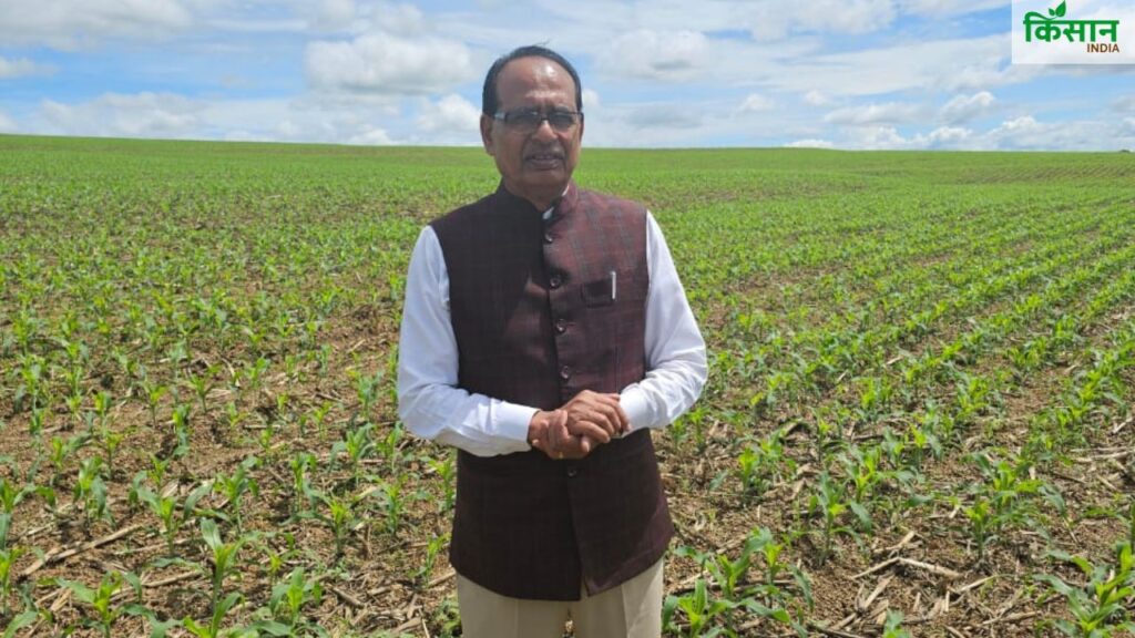 इस दौरे का मकसद भारत की खेती को और उन्नत बनाना और ब्राजील के अनुभवों से सीख लेकर भारतीय किसानों को लाभ पहुंचाना है. तो आइए जानते है दौरे की खास बातें. इस दौरे का मकसद भारत की खेती को और उन्नत बनाना और ब्राजील के अनुभवों से सीख लेकर भारतीय किसानों को लाभ पहुंचाना है. तो आइए जानते है दौरे की खास बातें.