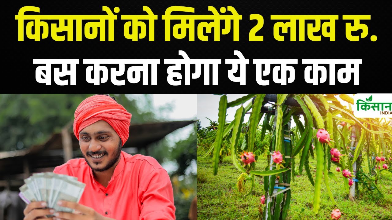 ड्रैगन फ्रूट की खेती पर सरकार दे रही 2 लाख की सब्सिडी, ऐसे करें आवेदन