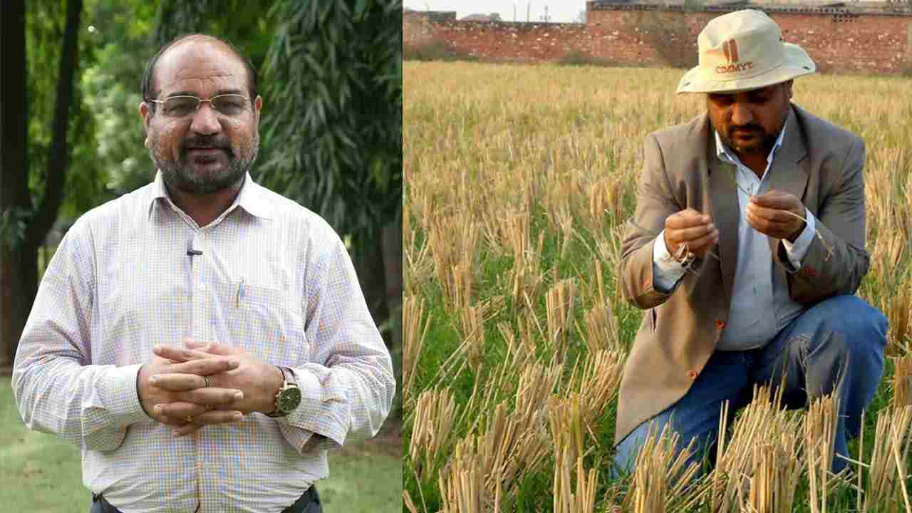 मौजूदा तकनीक से दोगुनी उपज संभव, किसानों को चाहिए सही दिशा-मांगीलाल जाट