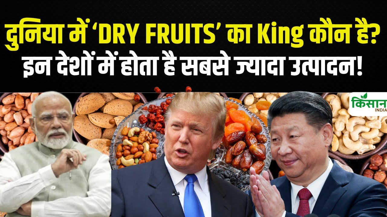 सबसे ज्यादा ड्राई फ्रूट्स उत्पादन वाले देश, जानिए भारत किस नंबर पर