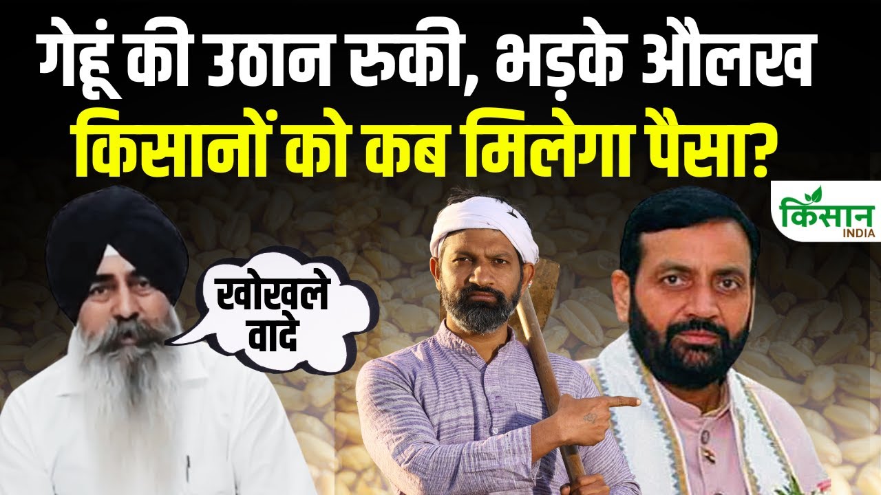 हरियाणा में गेहूं खरीद का बुरा हाल, किसान नेताओं ने सरकार पर उठाए सवाल