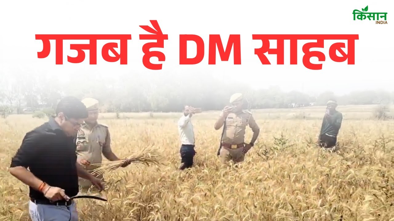 IAS अफसर का देसी अंदाज, Hamirpur के DM बने किसान