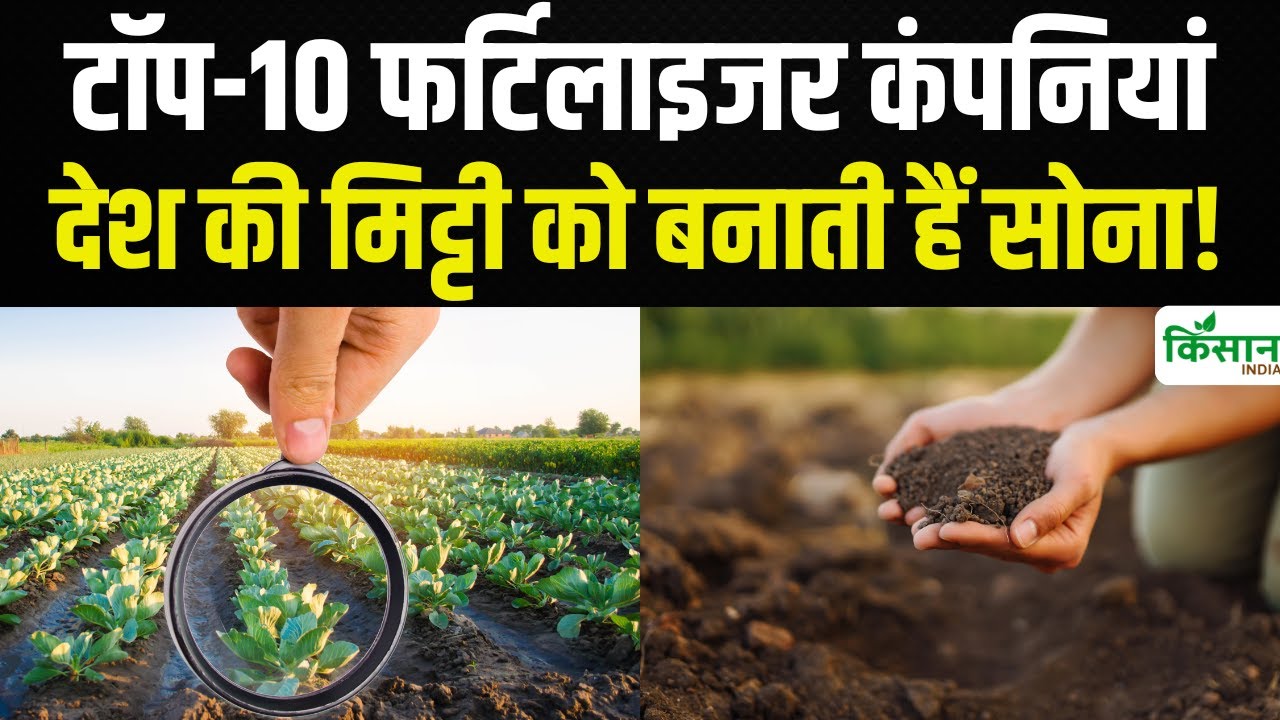 ये हैं भारत की टॉप 10 फर्टिलाइजर कंपनियां, ऐसे बदल रही हैं देश की खेती