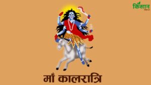 घर की कलह को खत्म करती हैं मां कालरात्रि, पूजा से पहले सही विधि और मुहूर्त जान लें