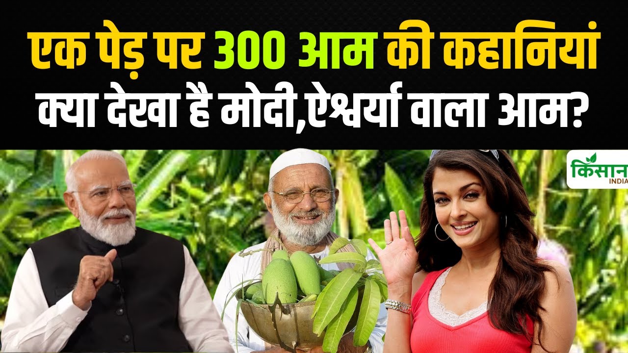 300 किस्मों के आमों की कहानी का पीएम मोदी और सचिन तेंदुलकर से क्या है कनेक्शन?