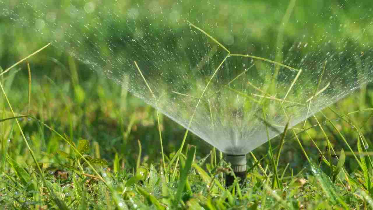 कम वक्त में ज्यादा सिंचाई, स्प्रिंकलर बना किसानों का भरोसेमंद साथी