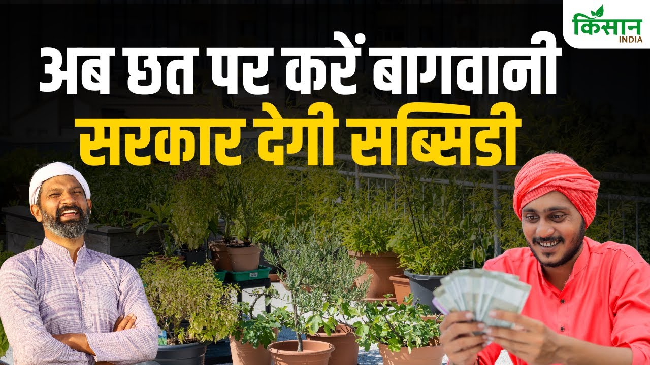 Rooftop Gardening के लिए सरकार की बंपर सब्सिडी, जानें कैसे उठाएं लाभ