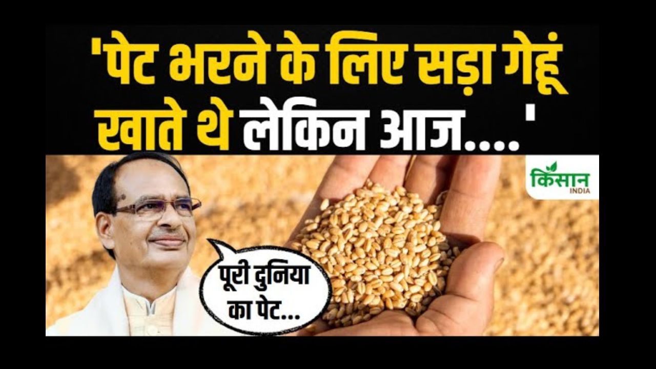 गेहूं किसानों पर शिवराज सिंह का बड़ा बयान, बोले- गर्व की बात