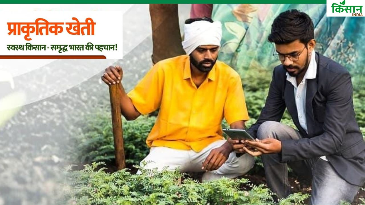 प्राकृतिक खेती के लिए 18 लाख किसानों को मिलेगी ट्रेनिंग, 10 हजार कृषि केंद्र बनेंगे