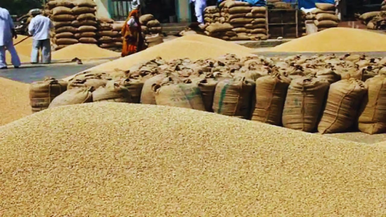 सरकार ने गेहूं की स्टॉक लिमिट अगले साल तक बढ़ाई, 10 टन से ज्यादा स्टोर करने पर कार्रवाई