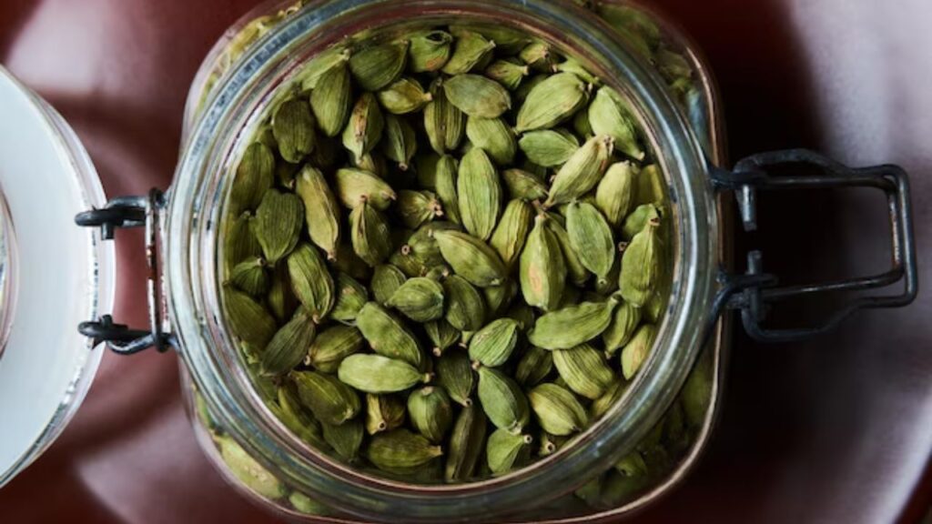 अब इसके बीजों को गमले में अच्छे से फैला कर मिट्टी से ढक दें और हल्के हाथों से इन पौधों में पानी डालें. बीजों को अंकुरित होने में 2-3 दिनों का समय लग सकता है.