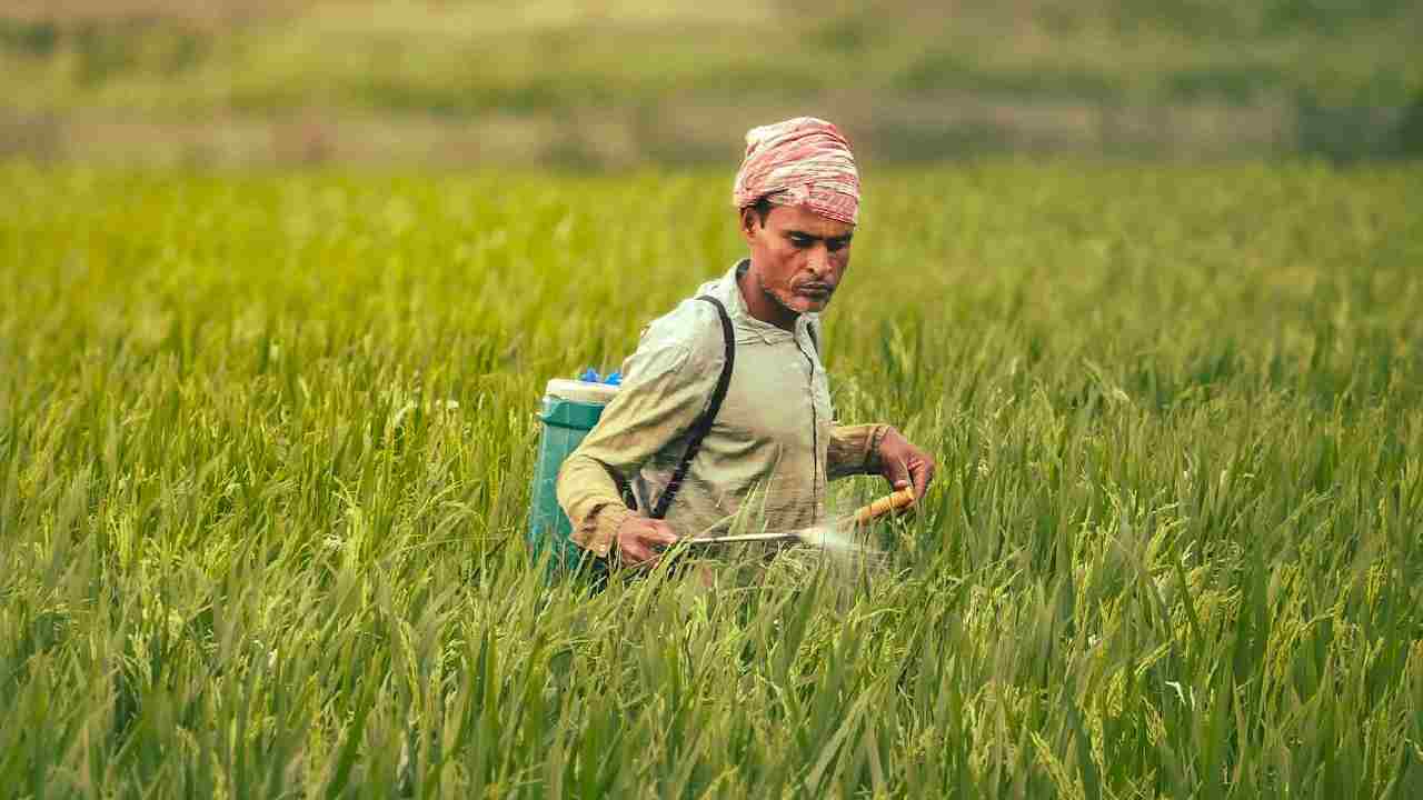 एक्सपायरी कीटनाशकों का न करें इस्तेमाल, जानिए क्यों है ये खतरनाक