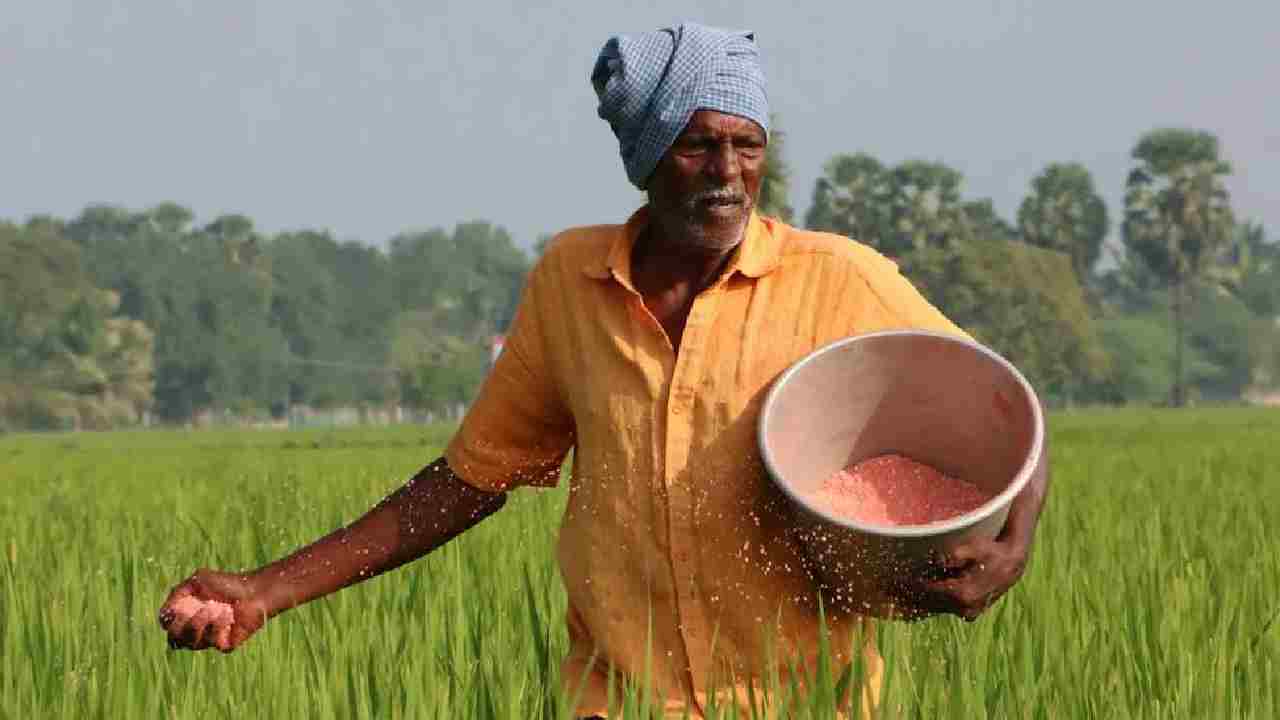 पंजाब में खाद के आयात में आएगी कमी, पोटाश की खोज के लिए प्रयास तेज किए गए