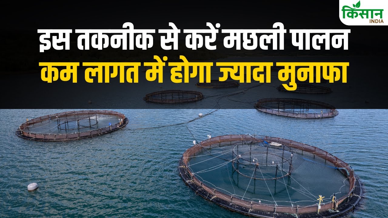 मछलीपालन की इस तकनीक पर मिल रही सब्सिडी, किसानों को होगा मुनाफा