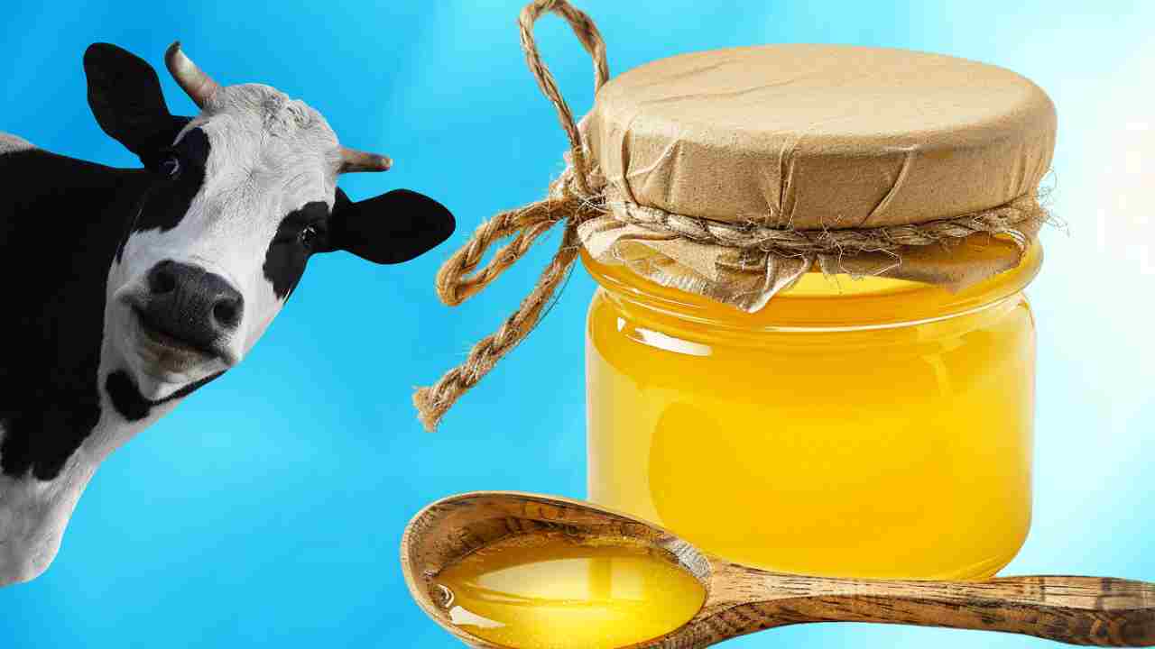 कहीं आप भी तो नहीं खा रहे नकली घी? जानें कैसे करें पहचान