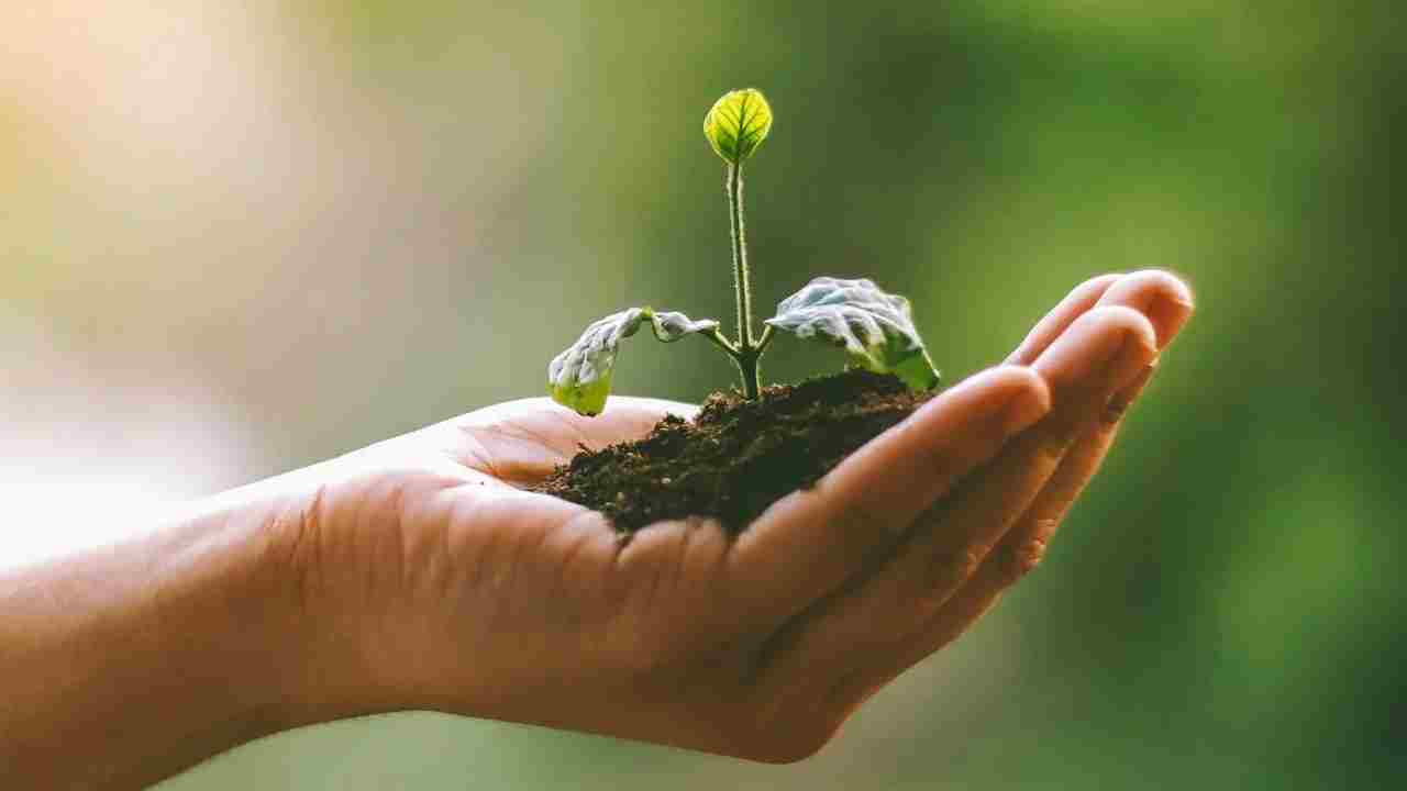 कार्बन फार्मिंग बनी किसानों की नई ताकत, जानिए इसके जबरदस्त फायदे