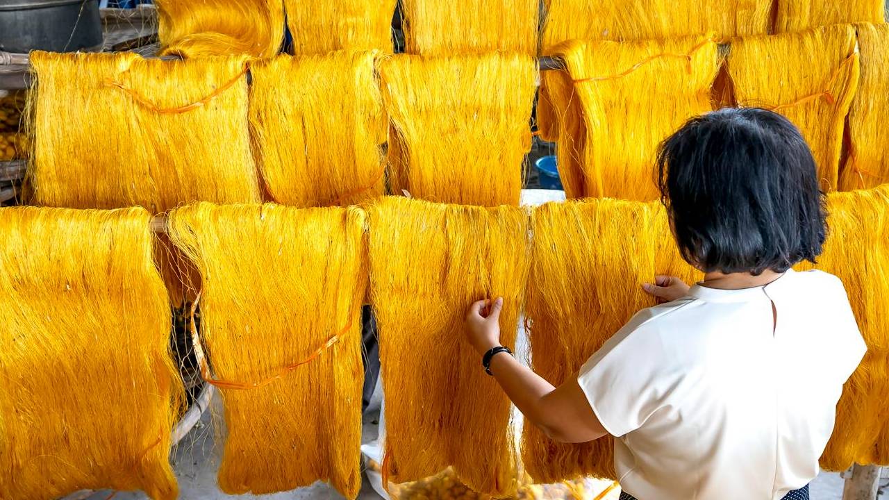 रेशम का बिजनेस बनता जा रहा घाटे का सौदा- गिर रहा उत्पादन, जानिए क्या है वजह?