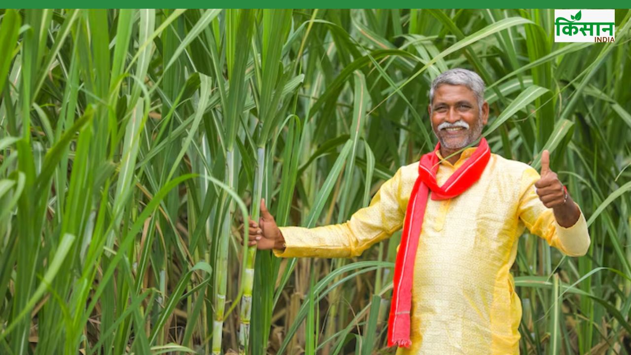 बीमार किसान का पैसा रोका तो चीनी मिल पर होगा एक्शन, छिड़काव के लिए ड्रोन मिलेंगे