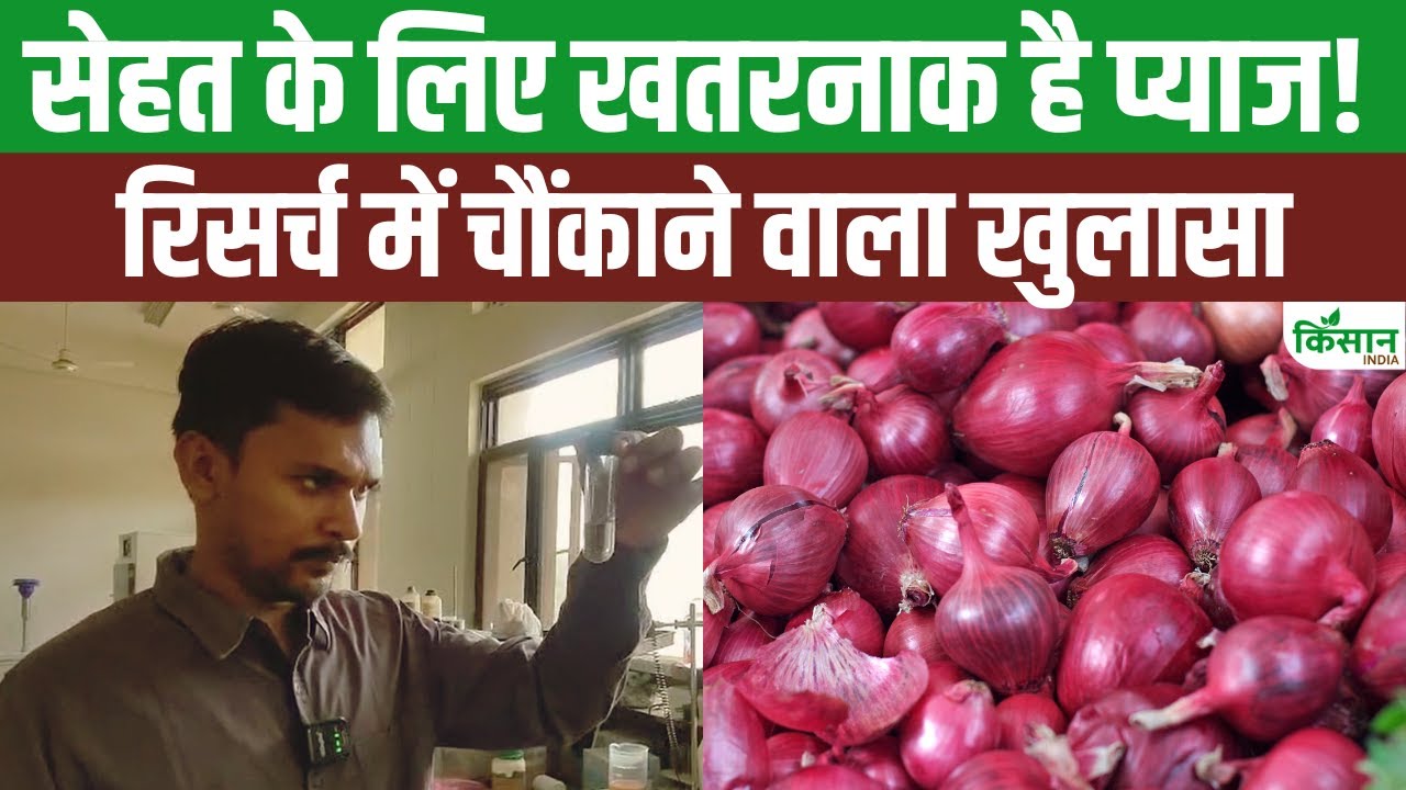 भिंडी के साथ खा रहे हैं मूली तो हो जाएं सावधान, आपके शरीर को हो सकती है किडनी की समस्या