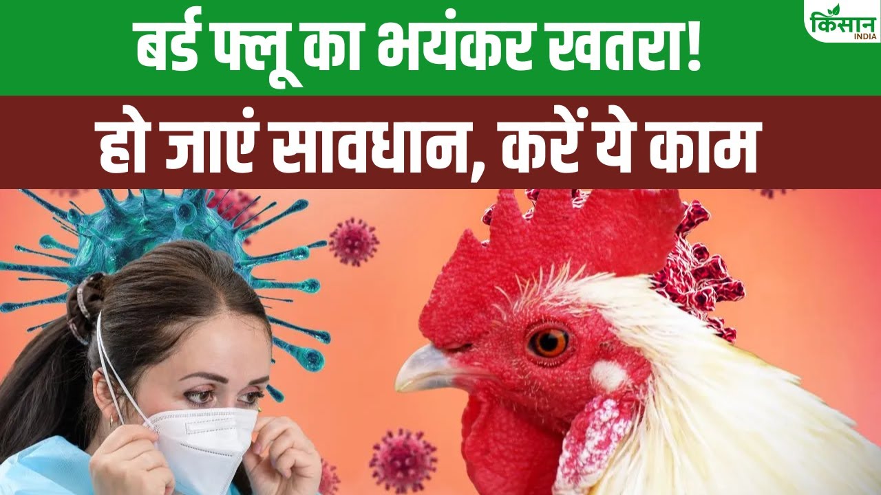 Bird Flu 2025: बर्ड फ्लू का मंडरा रहा खतरा, CM Yogi के सख्त निर्देश