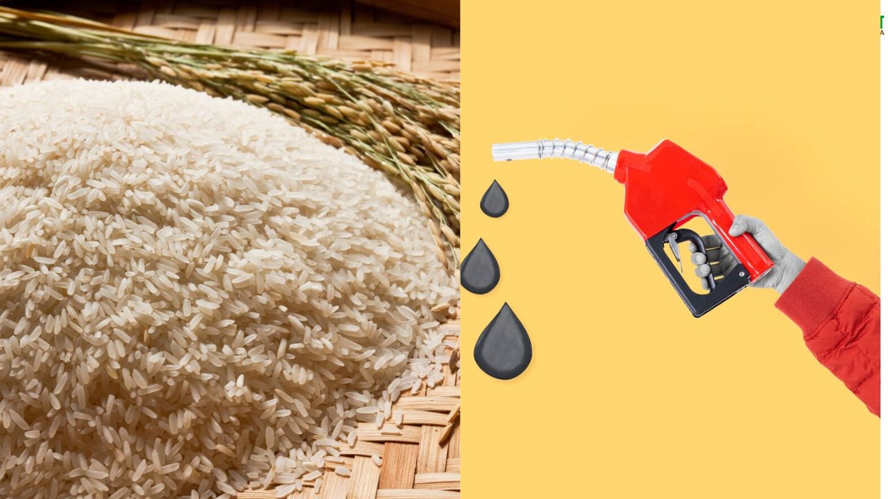 एथेनॉल के लिए 28 लाख टन अतिरिक्त चावल की मंजूरी, सब्सिडी पर खर्च होंगे 10000 करोड़