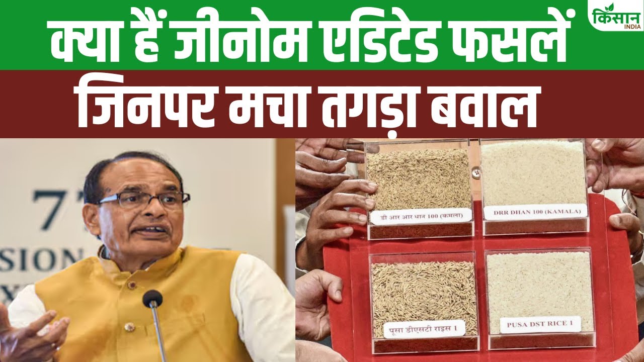 जीनोम एडिटेड फसलों को लेकर क्यों हैं डर का माहौल ?