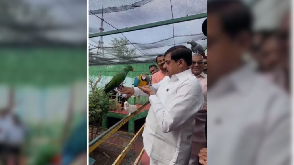 मुख्यमंत्री डॉ. यादव ने चिड़ियाघर स्थित बर्ड पार्क का भी भ्रमण किया, जहां उन्होंने विभिन्न रंग-बिरंगे पक्षियों को निहारा और अपने हाथों से उन्हें दाना भी खिलाया. मुख्यमंत्री डॉ. यादव ने चिड़ियाघर स्थित बर्ड पार्क का भी भ्रमण किया, जहां उन्होंने विभिन्न रंग-बिरंगे पक्षियों को निहारा और अपने हाथों से उन्हें दाना भी खिलाया.