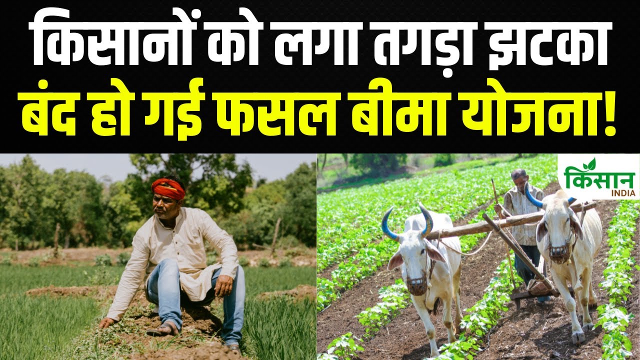 महाराष्ट्र सरकार में क्या बंद हुई 1 रुपये वाली फसल बीमा योजना?