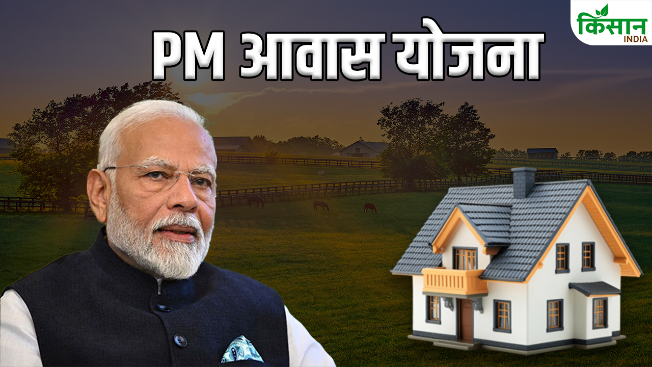 PM Awas Yojana: सर्वे में नाम दर्ज कराने का अंतिम मौका, घर पाने का सपना पूरा करें