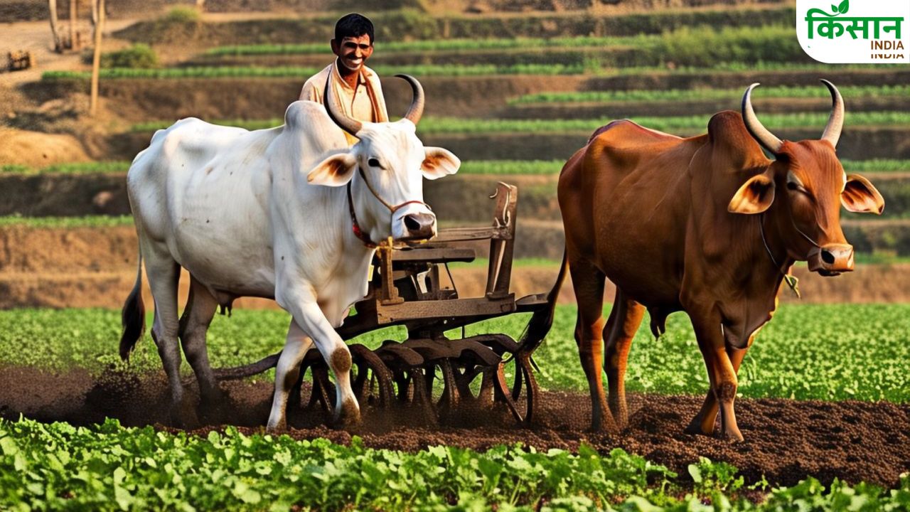 केवल इन किसानों को ही मिलेगा PM Kisan की 20वीं किस्त का लाभ, ये नियम बना कारण