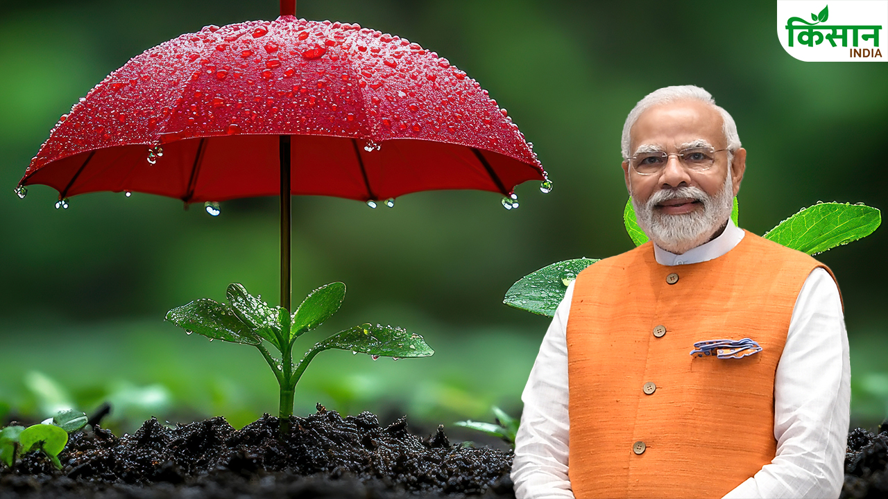 PM फसल बीमा योजना के लिए ऐसे करें आवेदन, जानिए पूरी प्रक्रिया स्टेप-बाय-स्टेप